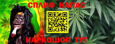гидра Гусиноозёрск