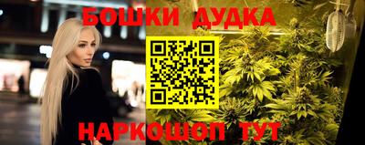 гидра Гусиноозёрск