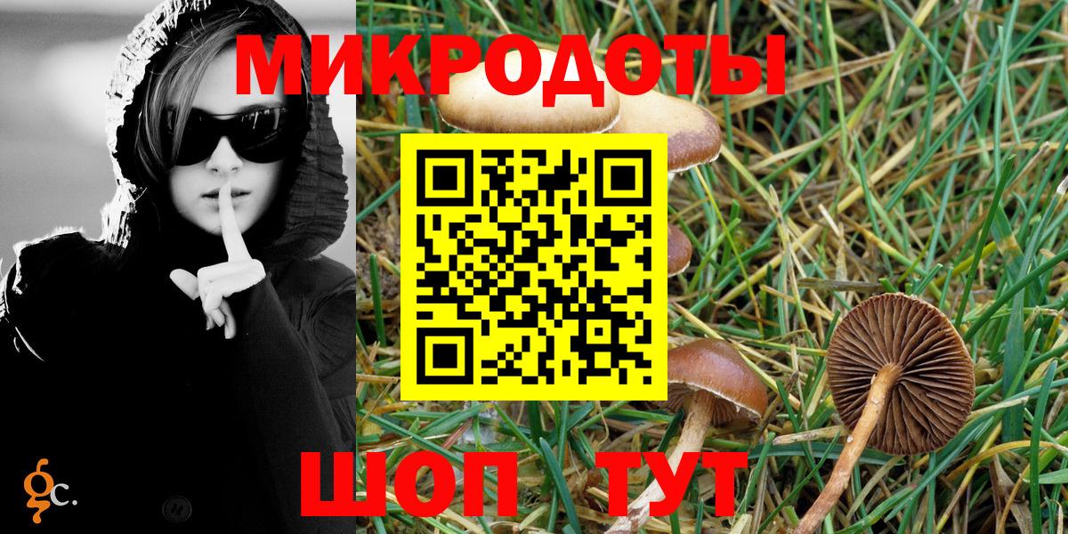 Галлюциногенные грибы Cubensis Вятские Поляны